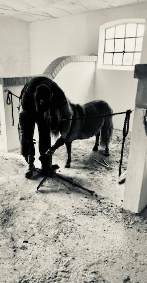 Martin Bundgaard Beslagsmed Arbejder